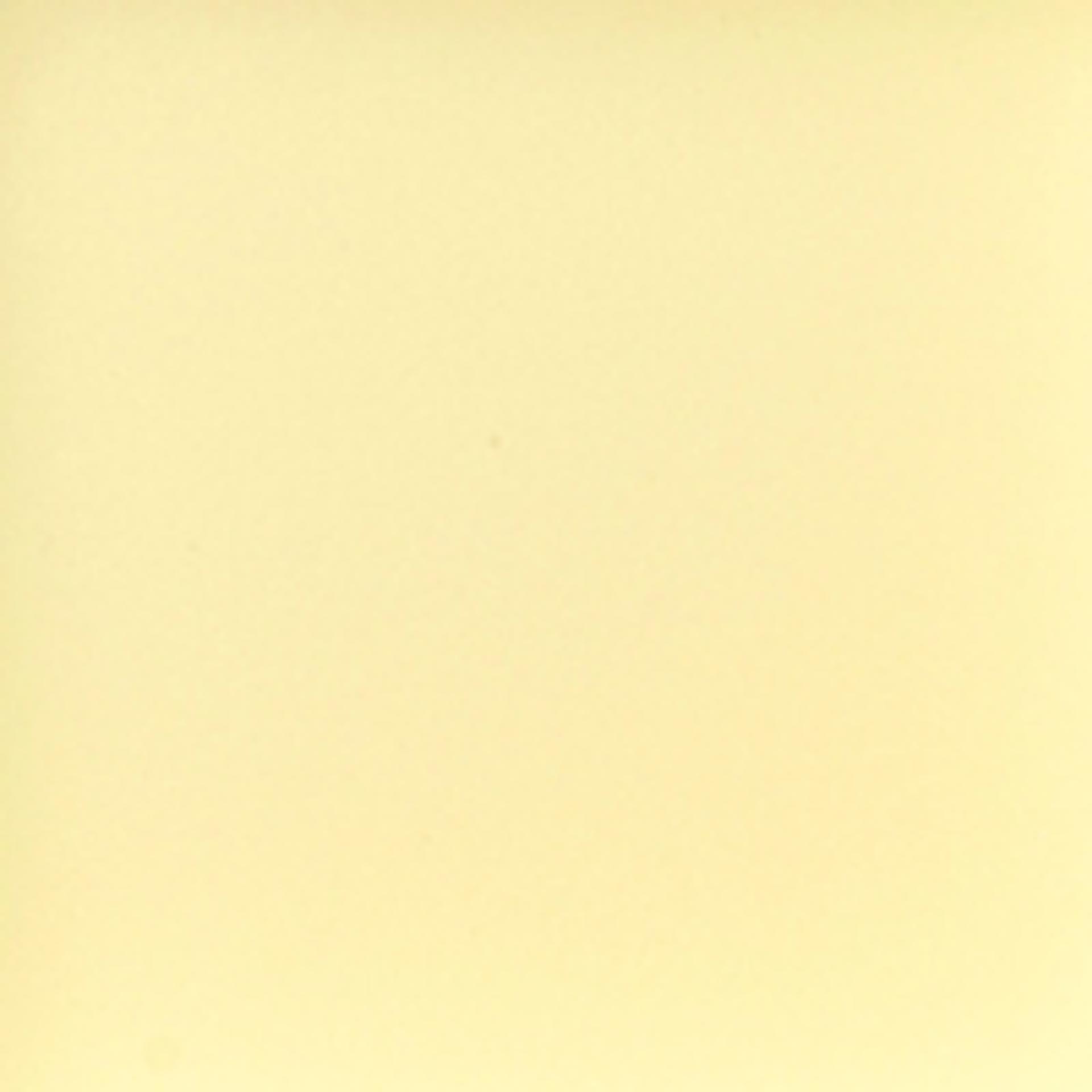 159 Camomile