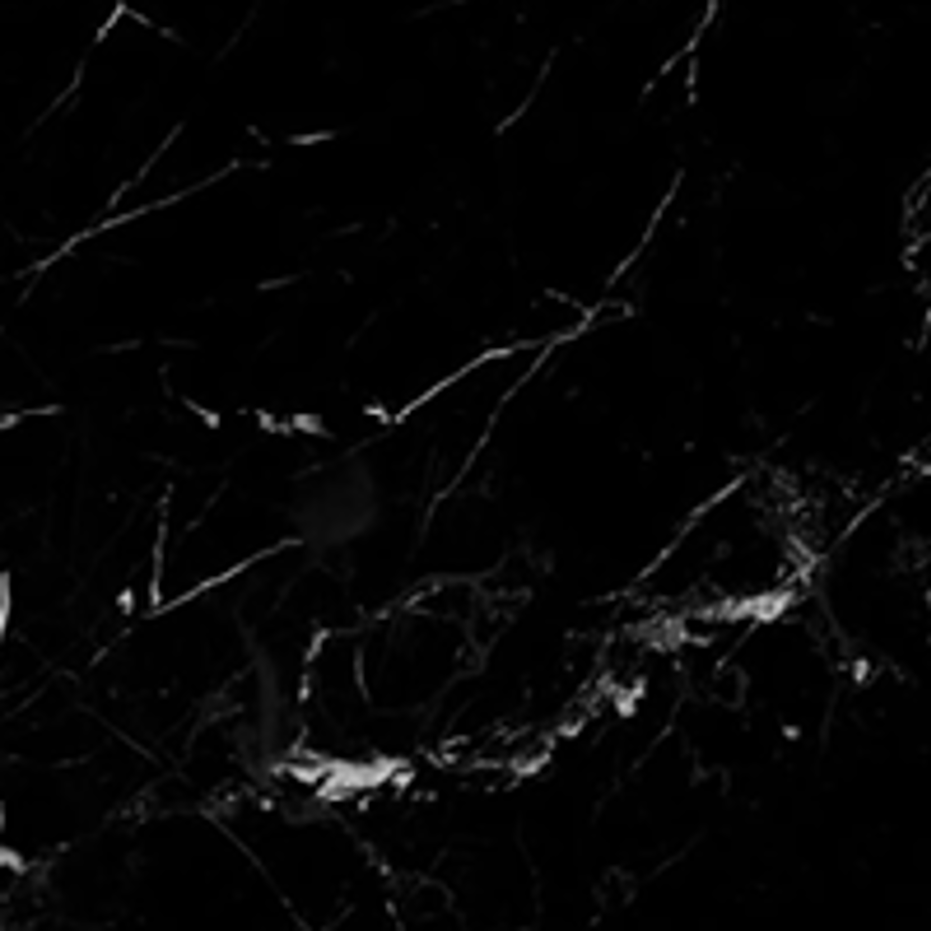 Black Marble